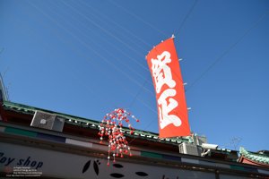 20180110102738_NIKON D7100.jpg